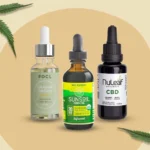 CBD-Oils-direct-supply-2025